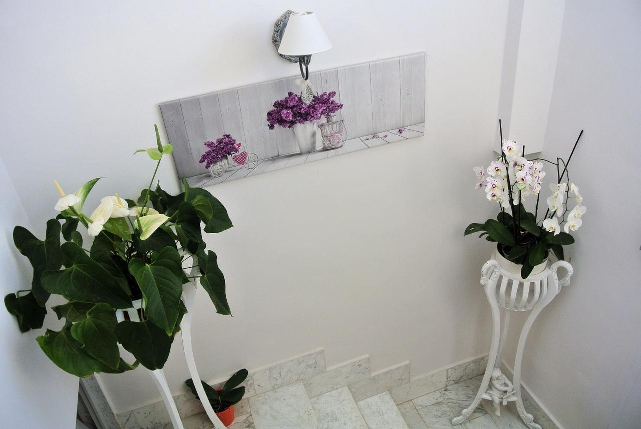 Bed and Breakfast Almasol Cassano delle Murge Exterior foto
