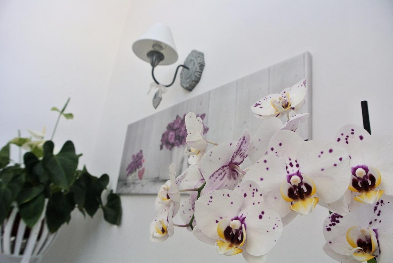 Bed and Breakfast Almasol Cassano delle Murge Exterior foto