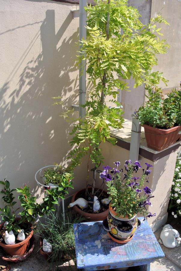 Bed and Breakfast Almasol Cassano delle Murge Exterior foto